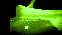 Interaktive Show des Underground Black Light Theatre in Prag: Bilder der Liebe